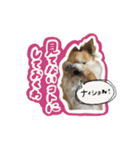 表情ゆたかなそらくんだよ★（個別スタンプ：13）