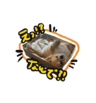表情ゆたかなそらくんだよ★（個別スタンプ：14）