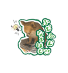 表情ゆたかなそらくんだよ★（個別スタンプ：15）
