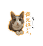 表情ゆたかなそらくんだよ★（個別スタンプ：16）
