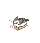 もっちりほっぺなねこ2（個別スタンプ：25）