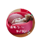 愛月の気持ち（個別スタンプ：4）
