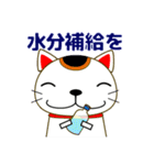 幸せを呼ぶ？！招き猫の夏休み 日常/暑中見舞（個別スタンプ：34）