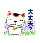 幸せを呼ぶ？！招き猫の夏休み 日常/暑中見舞（個別スタンプ：36）