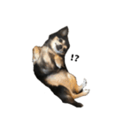愛犬チップ様（個別スタンプ：28）
