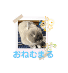 そらまるꪔ͈̮（個別スタンプ：1）