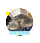 そらまるꪔ͈̮（個別スタンプ：2）