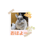 そらまるꪔ͈̮（個別スタンプ：3）