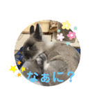 そらまるꪔ͈̮（個別スタンプ：4）