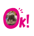 そらまるꪔ͈̮（個別スタンプ：5）