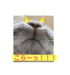 そらまるꪔ͈̮（個別スタンプ：7）
