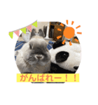 そらまるꪔ͈̮（個別スタンプ：8）