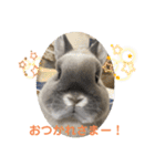 そらまるꪔ͈̮（個別スタンプ：12）