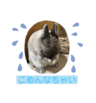 そらまるꪔ͈̮（個別スタンプ：13）
