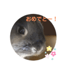 そらまるꪔ͈̮（個別スタンプ：16）