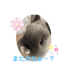 そらまるꪔ͈̮（個別スタンプ：18）