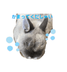 そらまるꪔ͈̮（個別スタンプ：19）