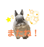 そらまるꪔ͈̮（個別スタンプ：25）