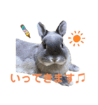 そらまるꪔ͈̮（個別スタンプ：27）