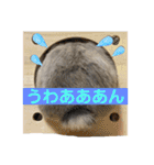 そらまるꪔ͈̮（個別スタンプ：28）