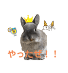そらまるꪔ͈̮（個別スタンプ：29）