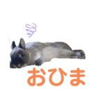 そらまるꪔ͈̮（個別スタンプ：31）