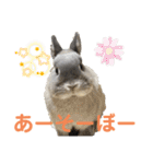 そらまるꪔ͈̮（個別スタンプ：32）