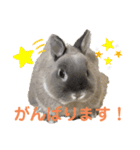 そらまるꪔ͈̮（個別スタンプ：33）