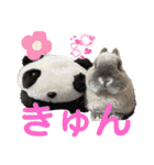 そらまるꪔ͈̮（個別スタンプ：34）