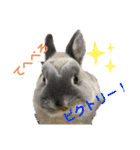 そらまるꪔ͈̮（個別スタンプ：35）