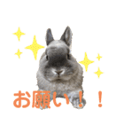 そらまるꪔ͈̮（個別スタンプ：36）
