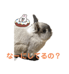 そらまるꪔ͈̮（個別スタンプ：37）