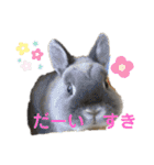 そらまるꪔ͈̮（個別スタンプ：39）