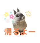 そらまるꪔ͈̮（個別スタンプ：40）