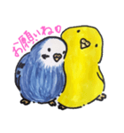 すけかく（個別スタンプ：8）