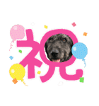 ショパンとニコと家康と（個別スタンプ：11）