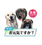 ショパンとニコと家康と（個別スタンプ：18）