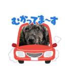 ショパンとニコと家康と（個別スタンプ：26）