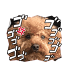 マルだよーん（個別スタンプ：3）