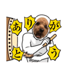 マルだよーん（個別スタンプ：12）