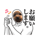 マルだよーん（個別スタンプ：13）