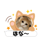 我が家のペット＆変顔玉子（笑）＆動物園の子（個別スタンプ：1）