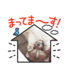 我が家のペット＆変顔玉子（笑）＆動物園の子（個別スタンプ：15）