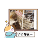 我が家のペット＆変顔玉子（笑）＆動物園の子（個別スタンプ：18）