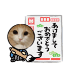 我が家のペット＆変顔玉子（笑）＆動物園の子（個別スタンプ：30）