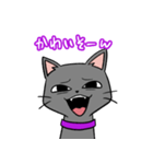 人をバカにしてる黒猫さん（個別スタンプ：1）