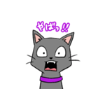 人をバカにしてる黒猫さん（個別スタンプ：6）