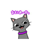 人をバカにしてる黒猫さん（個別スタンプ：7）