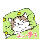 猫の幸せな毎日スタンプ（個別スタンプ：25）