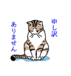 猫の幸せな毎日スタンプ（個別スタンプ：28）